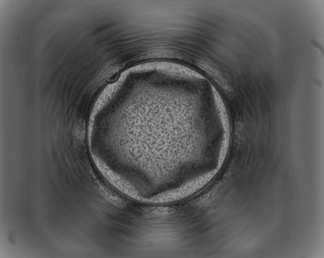 X0000091730841200709211018