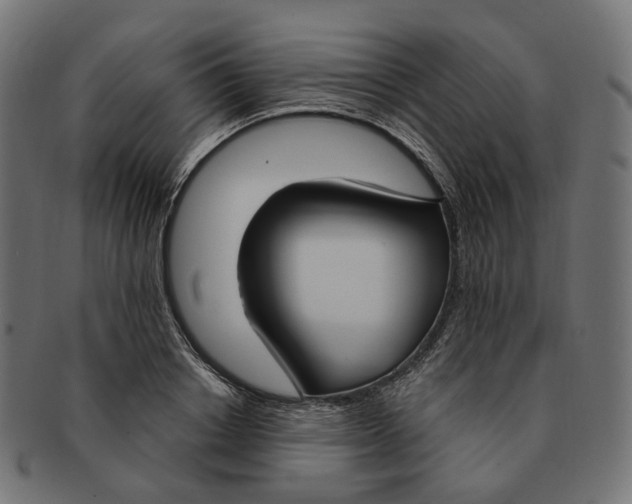 X0000091730842200709211018