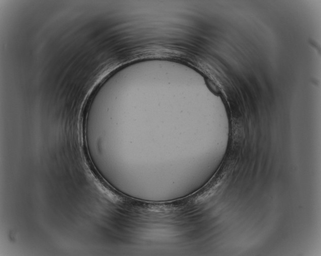 X0000091730843200709211018