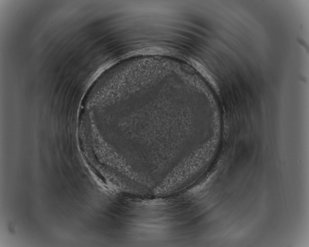 X0000091730845200709211018