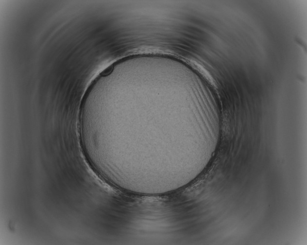 X0000091730847200709211018