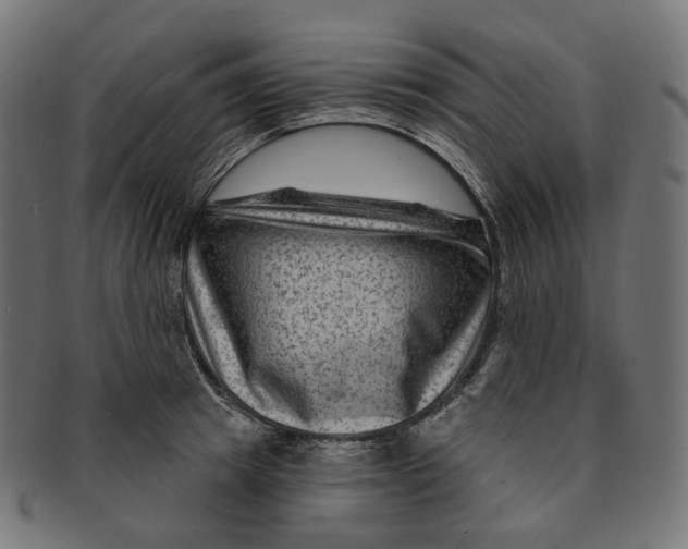 X0000091730849200709211018