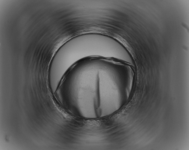 X0000091730850200709211018