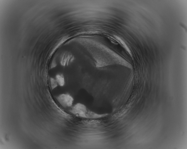 X0000091730851200709211018