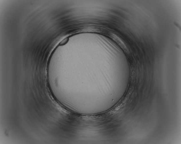 X0000091730852200709211018