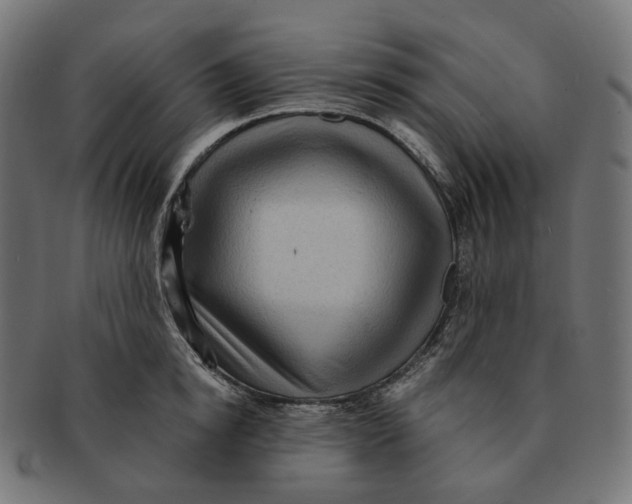 X0000091730854200709211019