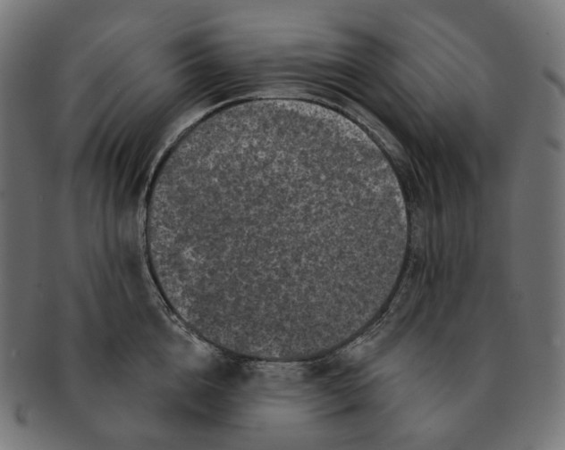 X0000091730856200709211019