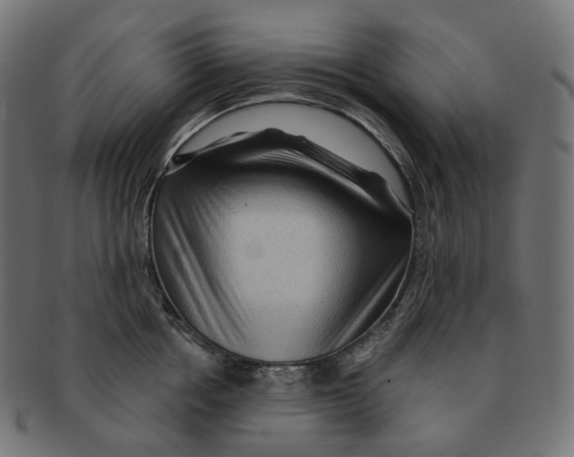 X0000091730858200709211019