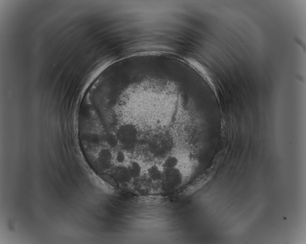 X0000091730859200709211019