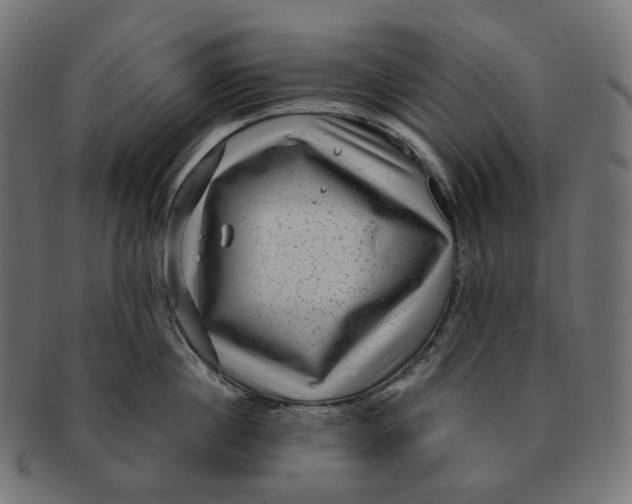 X0000091730860200709211019