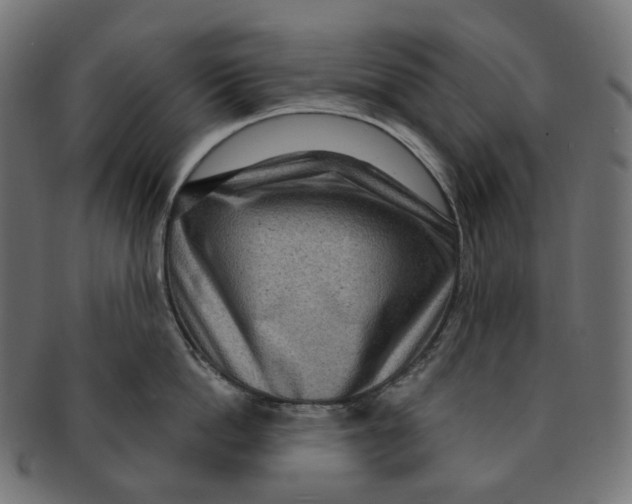 X0000091730862200709211019