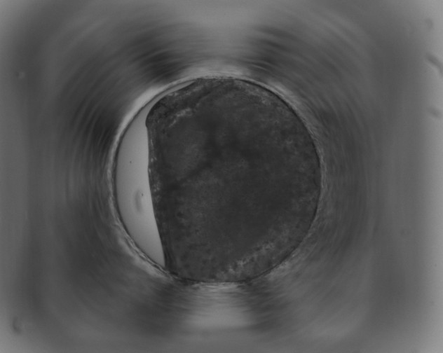 X0000091730864200709211019