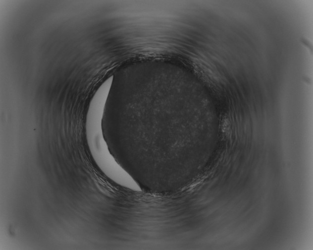 X0000091730868200709211018