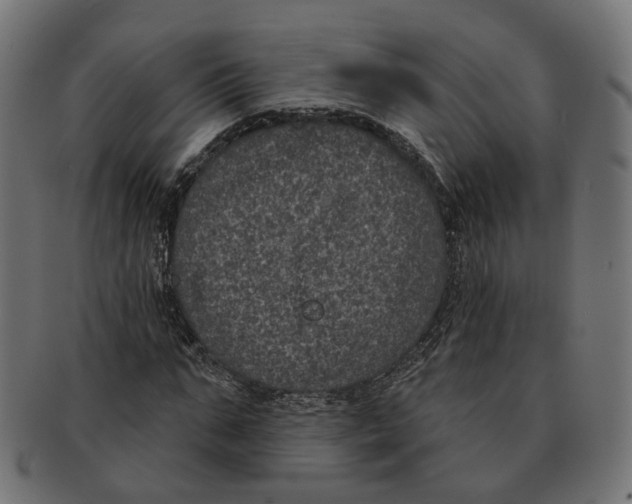 X0000091730871200709211018