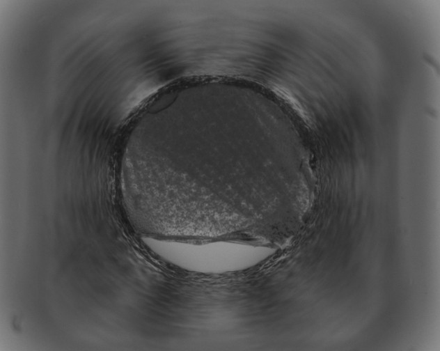 X0000091730872200709211018