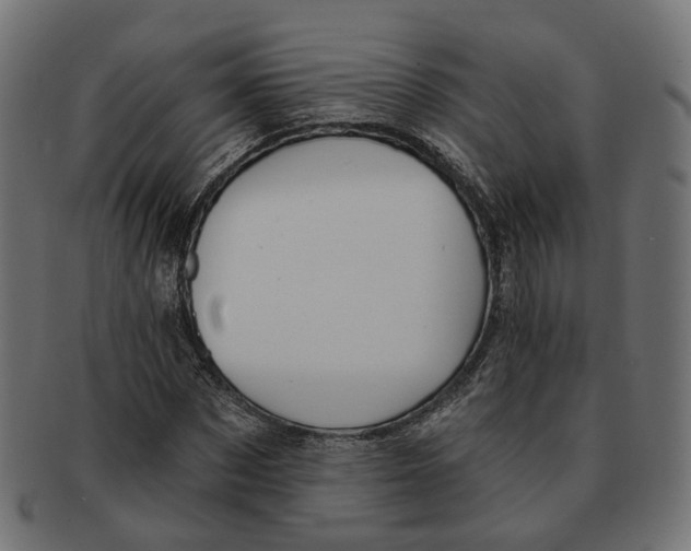 X0000091730873200709211018