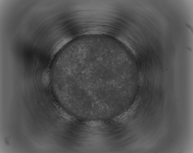 X0000091730874200709211018