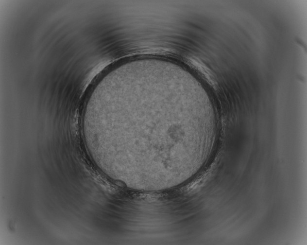 X0000091730875200709211018