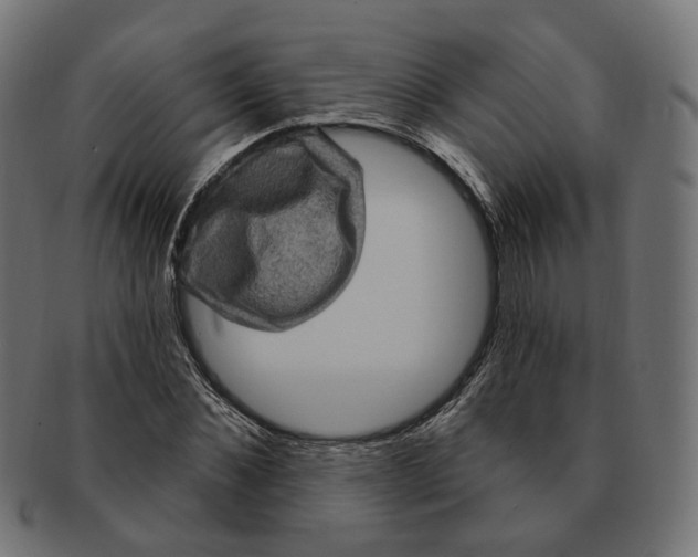 X0000091730876200709211018