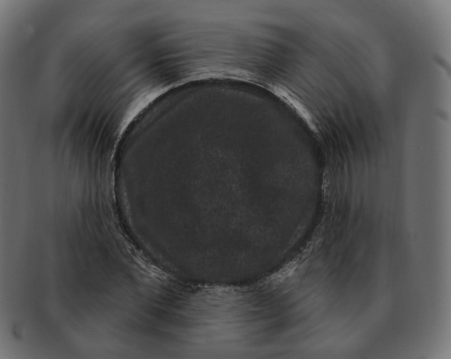 X0000091730877200709211018