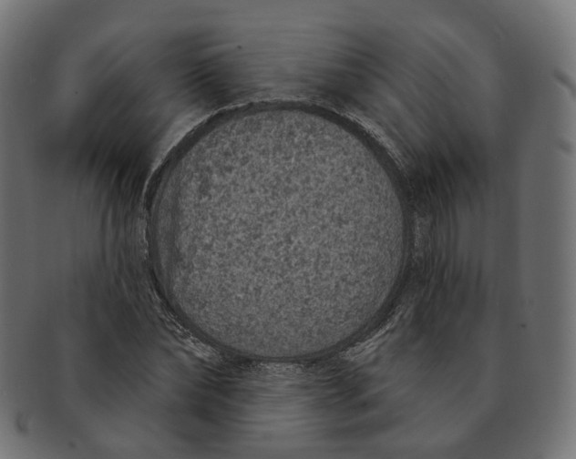 X0000091730878200709211018