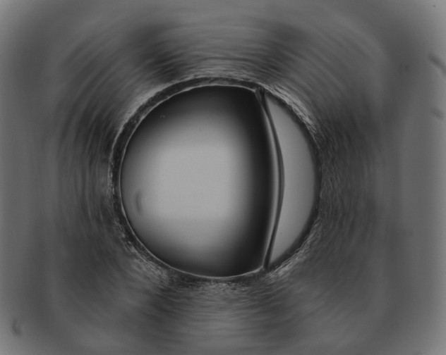 X0000091730880200709211018