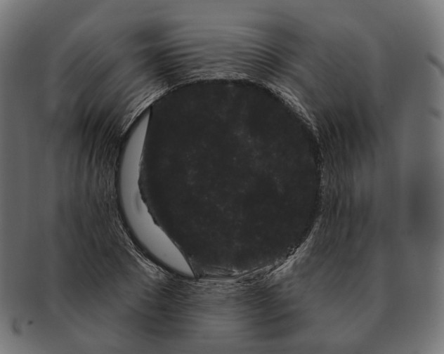 X0000091730881200709211018