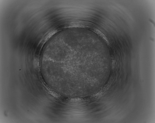 X0000091730882200709211018