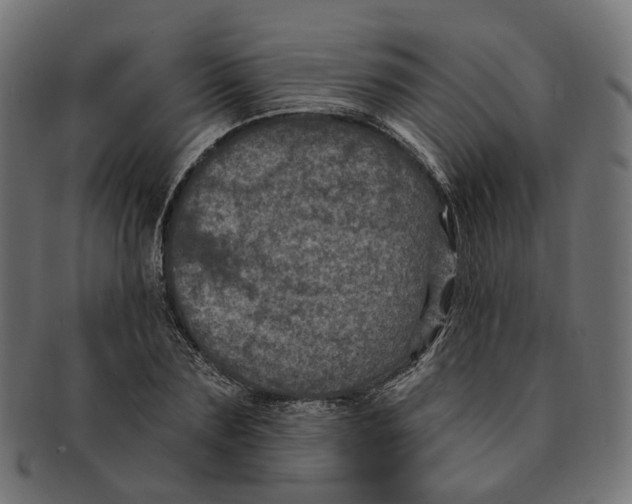 X0000091730883200709211018