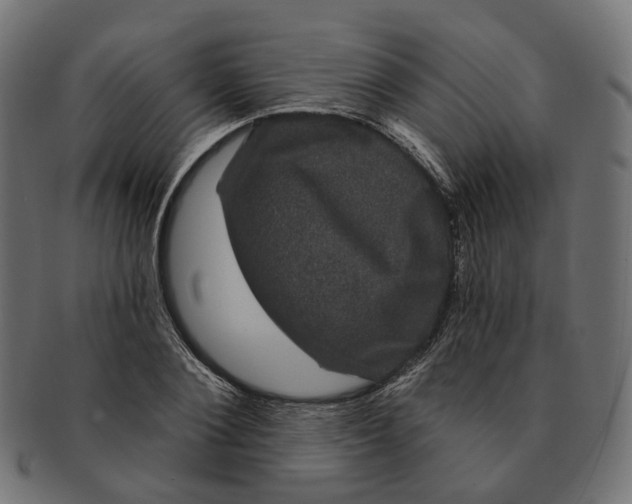 X0000091730884200709211018