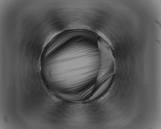 X0000091730885200709211018