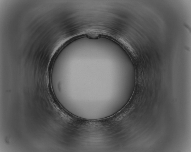 X0000091730888200709211018