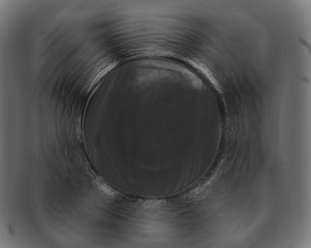 X0000091730889200709211018