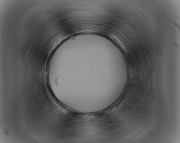 X0000091730890200709211018