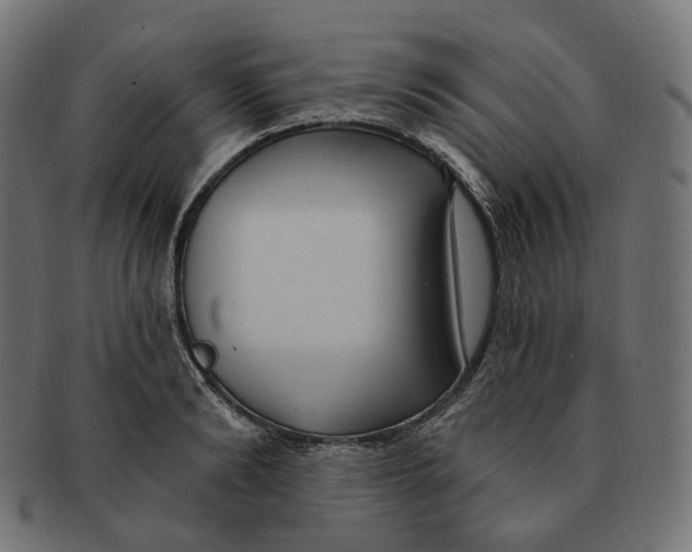 X0000091730894200709211018