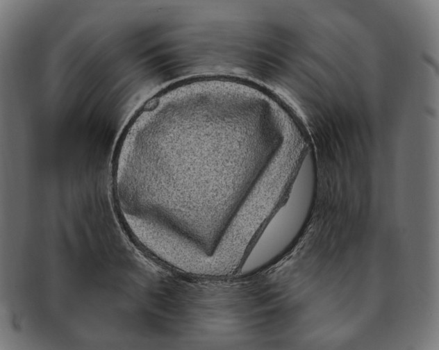 X0000091730895200709211018