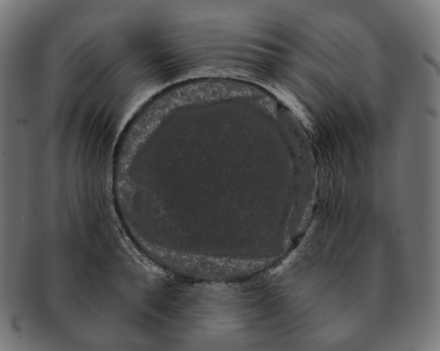 X0000091730896200709211018