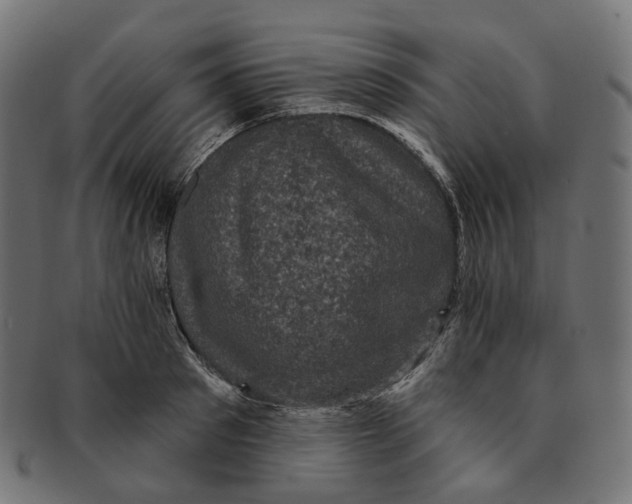 X0000091730897200709211018