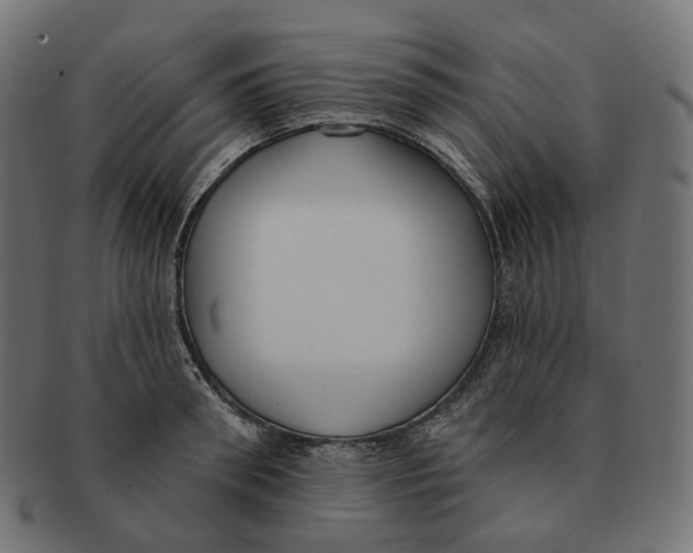 X0000091730898200709211018