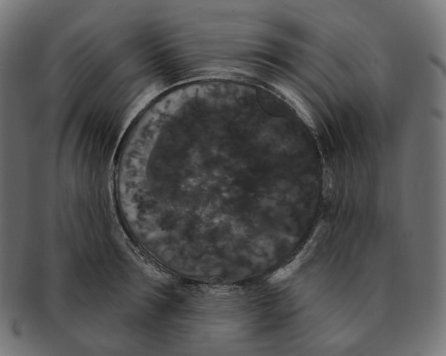 X0000091730899200709211018