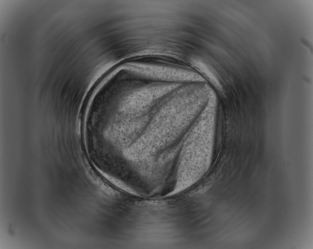 X0000091730900200709211018