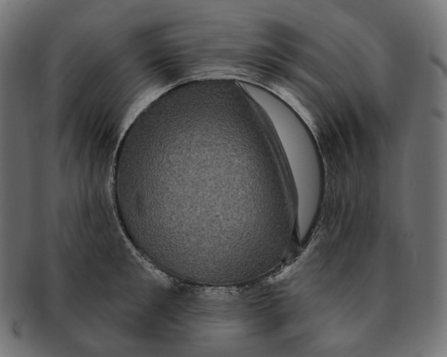 X0000091730901200709211018