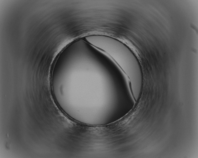 X0000091730902200709211018