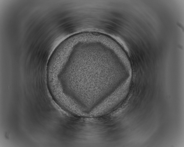 X0000091730903200709211018