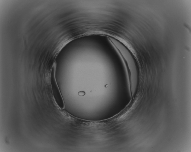 X0000091730905200709211018