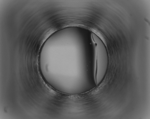 X0000091730906200709211018