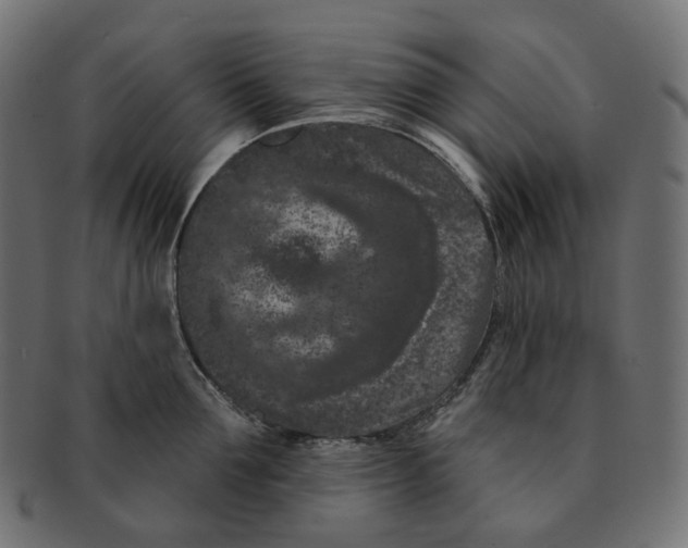 X0000091730907200709211018