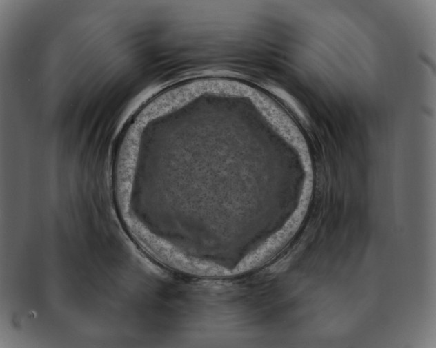 X0000091730910200709211018