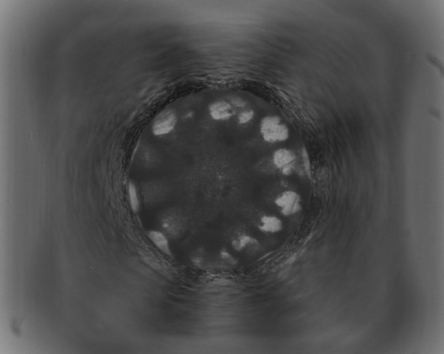 X0000091730913200709211017