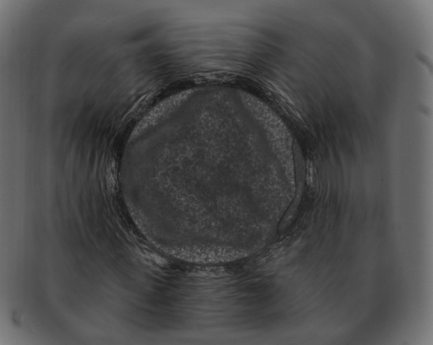 X0000091730915200709211017